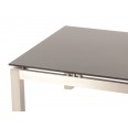 Konferenční stolek Elisa, 70 cm, nerez / černá
