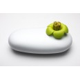 Multifunkční pouzdro QUALY Blossom Pebble Box, bílé-zelené