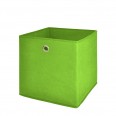 Úložný box Beta 2, 24 cm, zelená, zelená