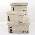 Sada 3 úložných krabic s víkem Wood No. 1,2,3, čtverce, krémová