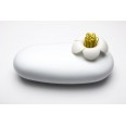 Multifunkční pouzdro QUALY Blossom Pebble Box, bílé-bílé